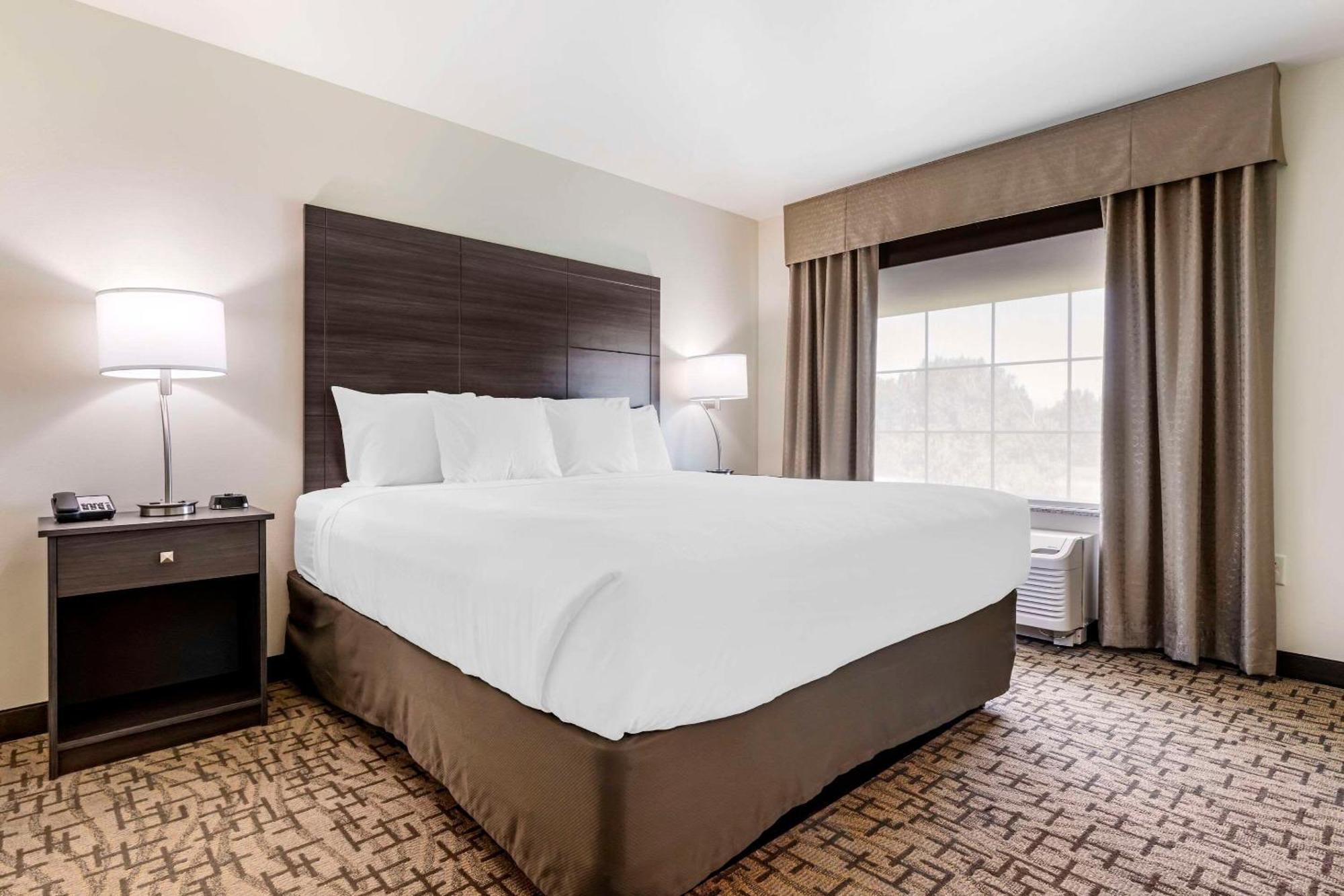 Comfort Inn & Suites Medina Luaran gambar